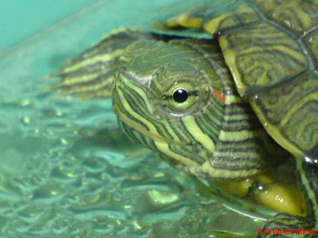 DSC00335.jpg