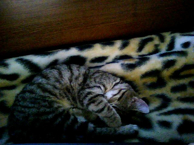 да не ми го урочасате, ей!