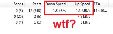 wtf.jpg