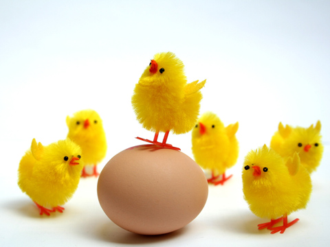 easter40.jpg