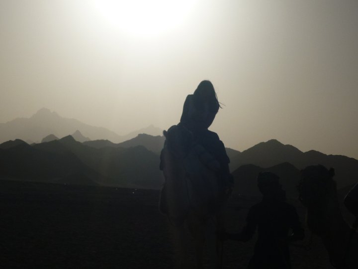 В Египет на камила