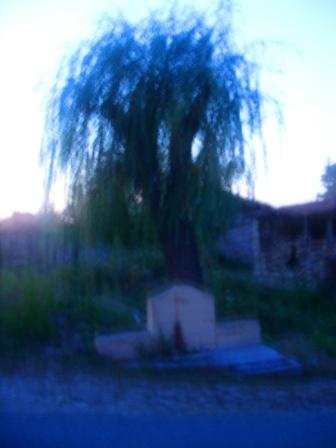 06-07-08.2009 347.jpg