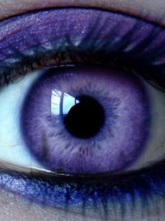 Eye Violet 1.jpg