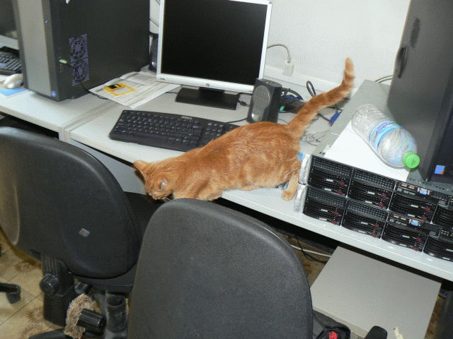 Съни помага