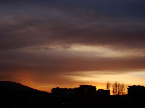 DSC02050.jpg